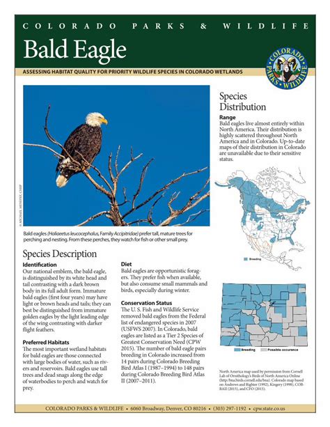 apdkx fact sheet|first eagle overseas fact sheet.